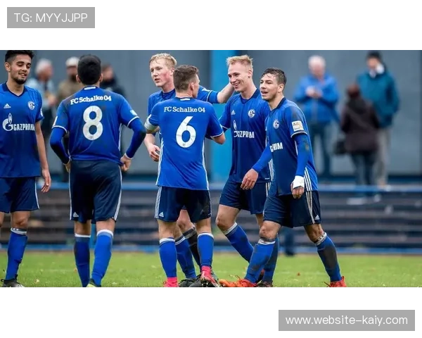 沙尔克主帅穆斯利奇谈足球如吸血鬼，强调能量管理与兴趣平衡